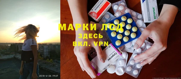 шишки Переславль-Залесский