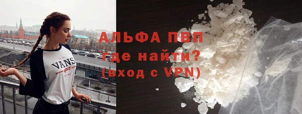 шишки Переславль-Залесский