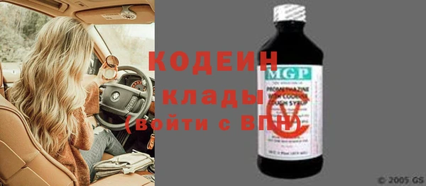 шишки Переславль-Залесский