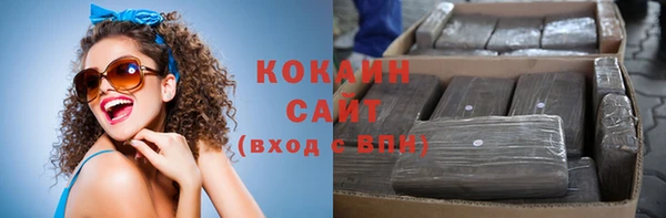 шишки Переславль-Залесский