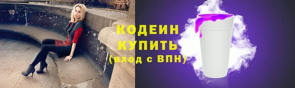 шишки Переславль-Залесский