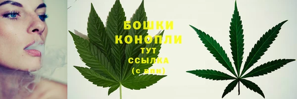тгк Пересвет
