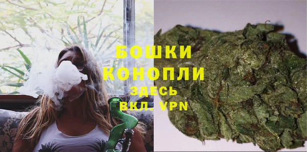 тгк Пересвет