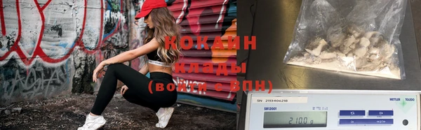 тгк Пересвет