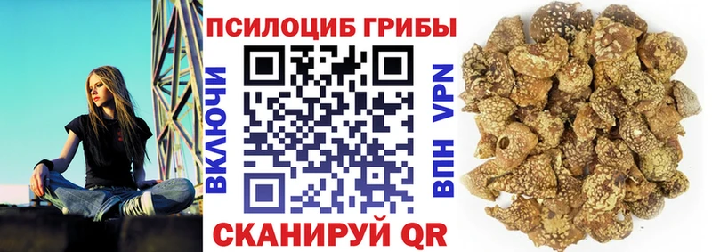 Псилоцибиновые грибы MAGIC MUSHROOMS Питкяранта